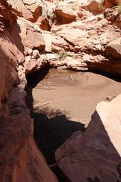 Chocolate milkshake [sat aug 30 12:40:13 mdt 2025]